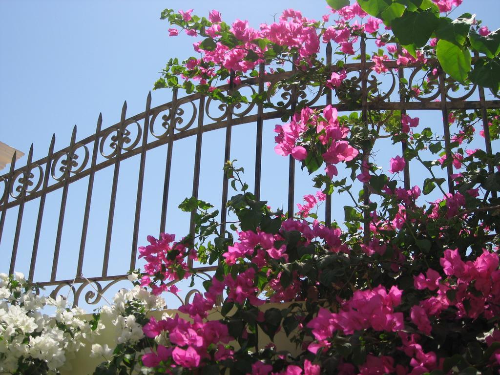 Villa Shahrazad Hurghada Exterior foto